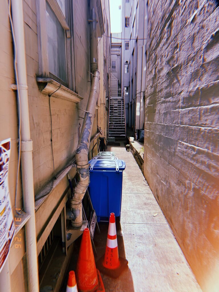 trash bins and traffic cones occupying a narrow service alley