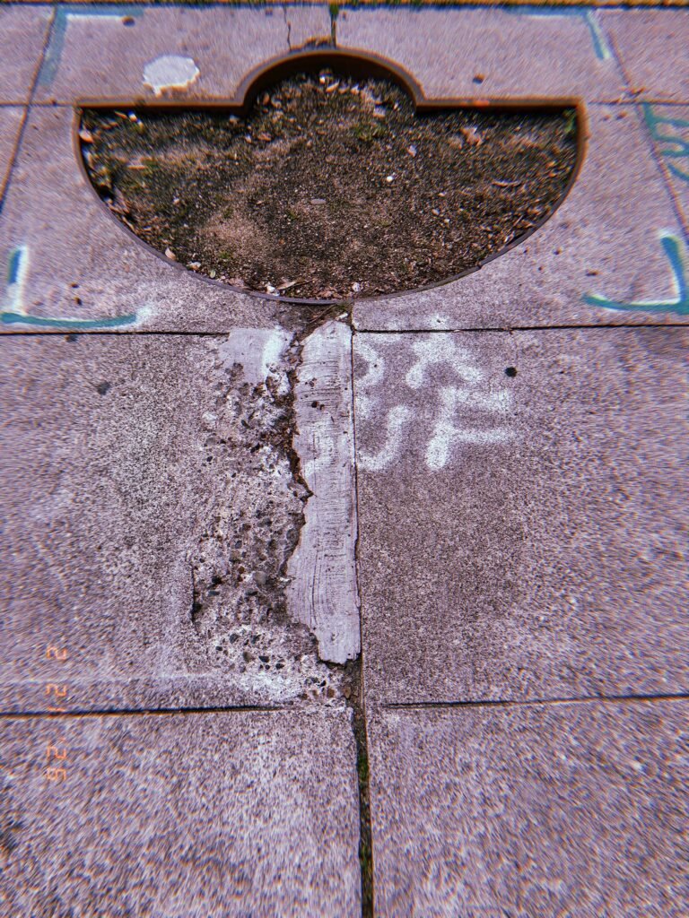 semi-circular tree pit cut into the sidewalk with cracked pavement seam