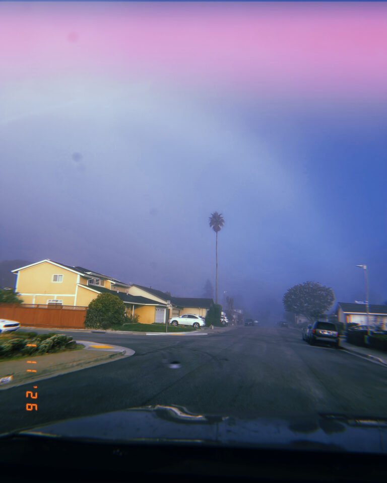 foggy residential street with palm tree and parked cars in San Francisco