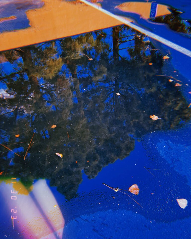 reflection of trees and sky in a rain puddle on painted street surface