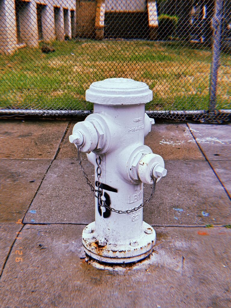 White fire hydrant with chained outlet caps standing on a sidewalk in front of a chain-link fence, with grass and buildings in the background.