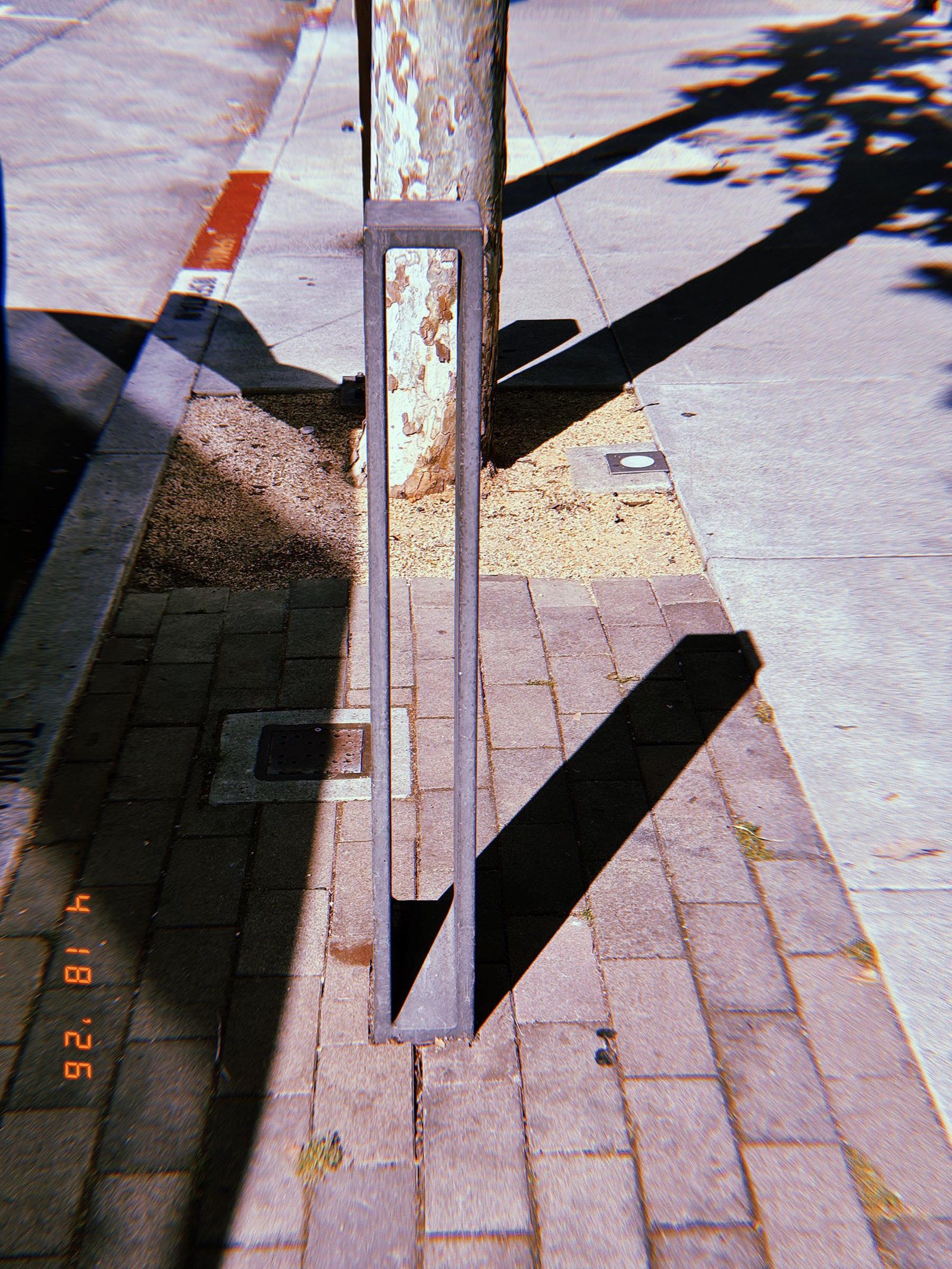 Rectangular metal barrier frame installed around a tree trunk on a sidewalk, with surrounding paving stones and concrete curb.