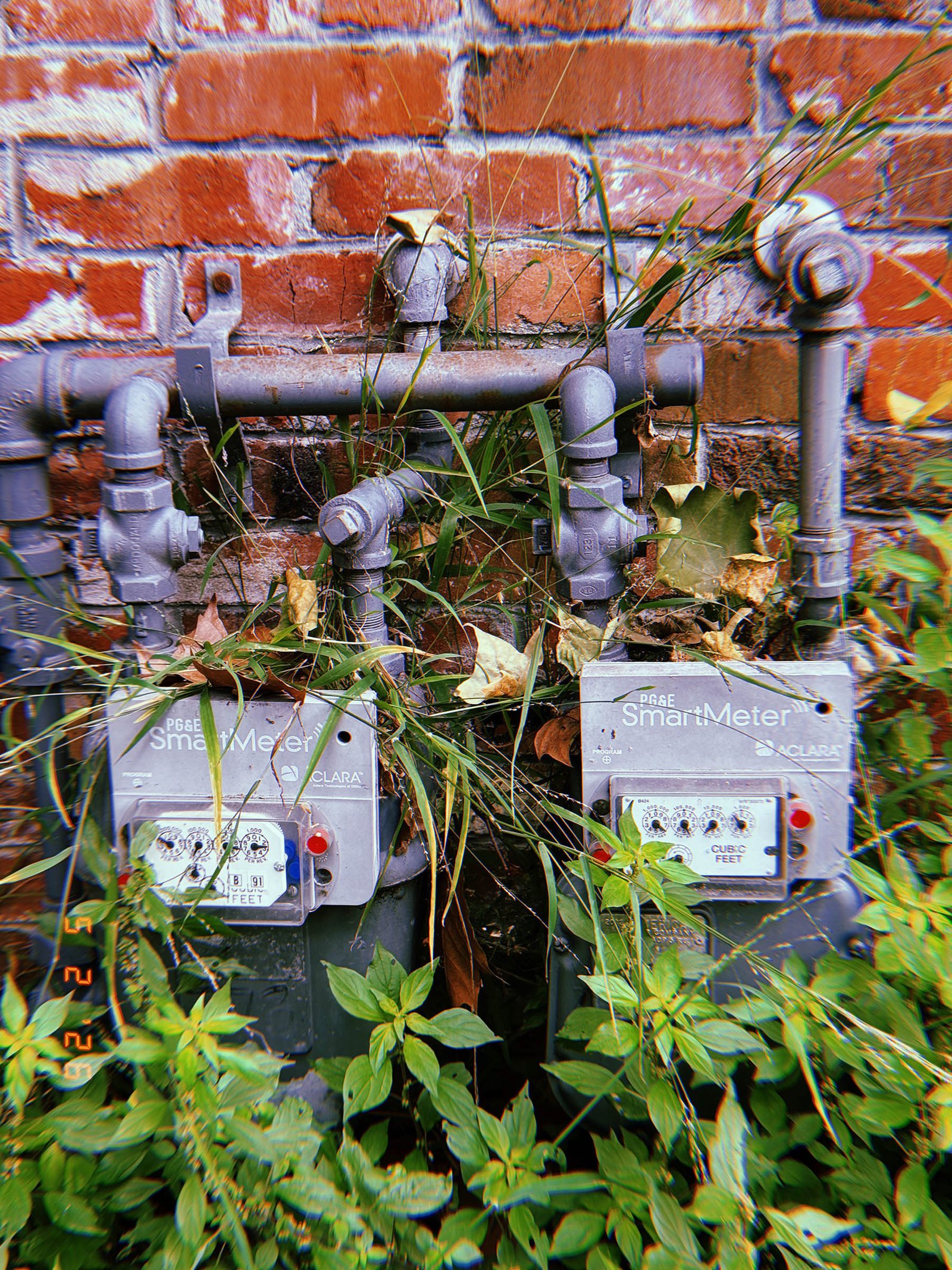 Two PG&E SmartMeter gas meters partially obscured by overgrown vegetation and mounted against a red brick wall with exposed pipe infrastructure.