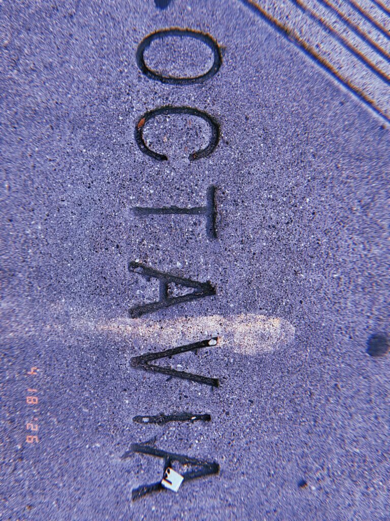 The word "OCTAVIA" embedded in a concrete sidewalk surface as a permanent street identification marker, with tactile paving visible at the edge of the frame.
