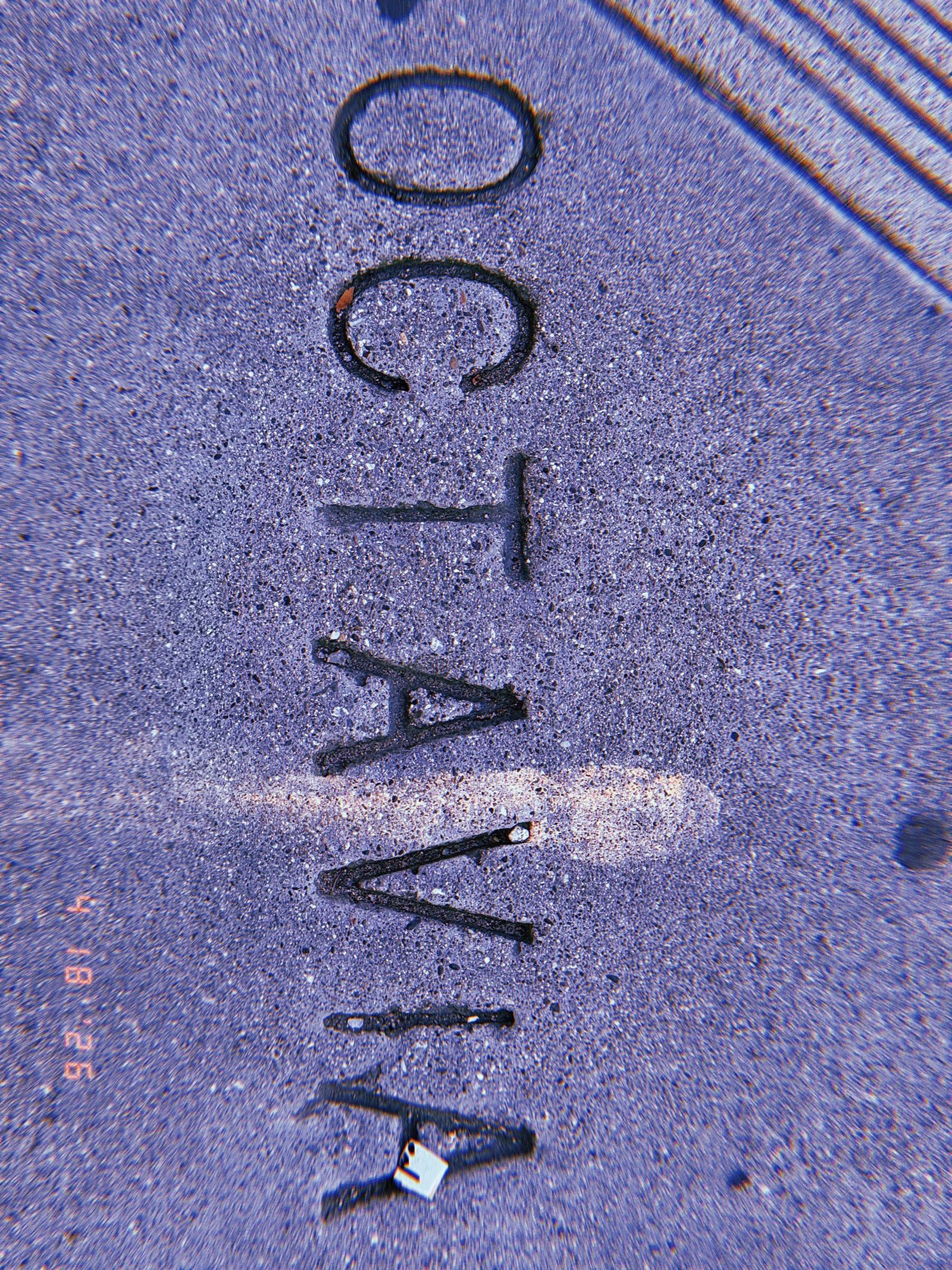The word "OCTAVIA" embedded in a concrete sidewalk surface as a permanent street identification marker, with tactile paving visible at the edge of the frame.