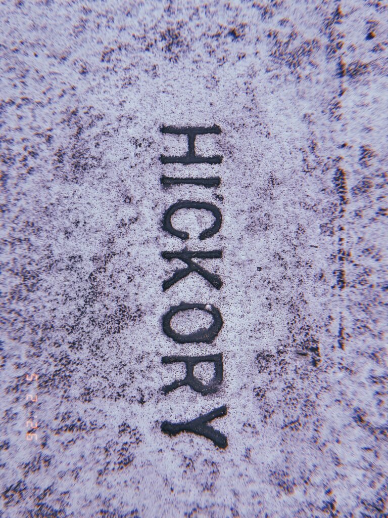 The word "HICKORY" embedded in a weathered concrete sidewalk surface as a permanent street identification marker.