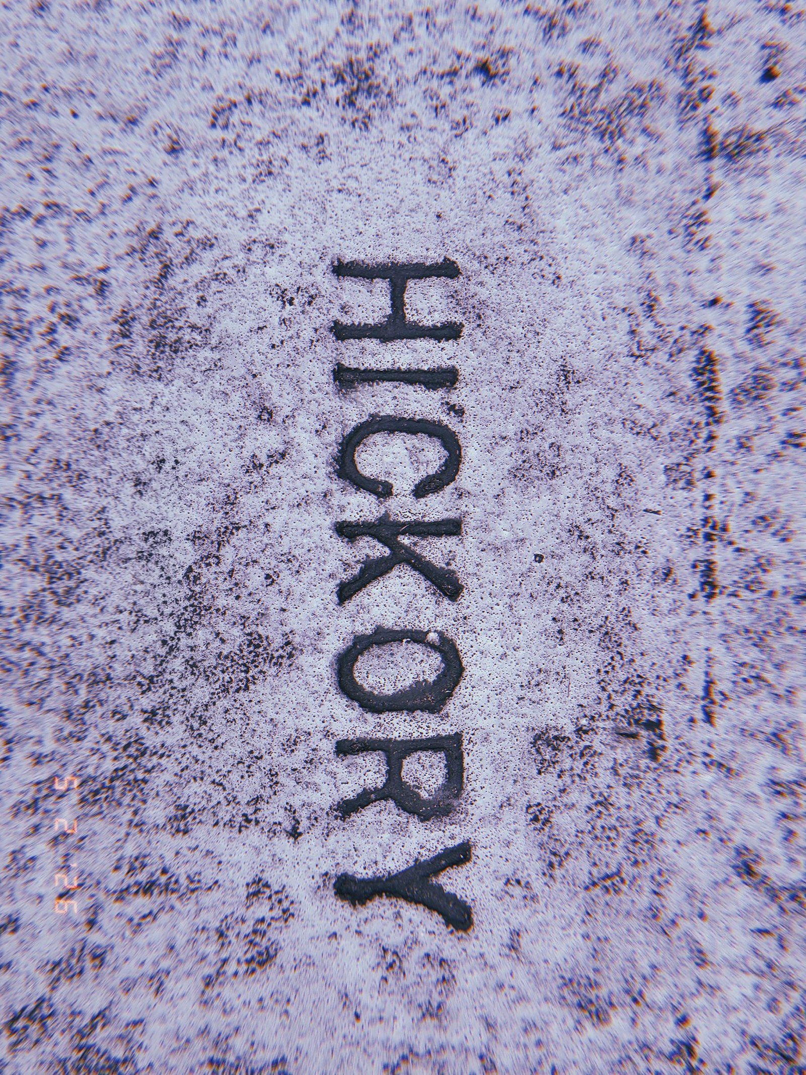 The word "HICKORY" embedded in a weathered concrete sidewalk surface as a permanent street identification marker.