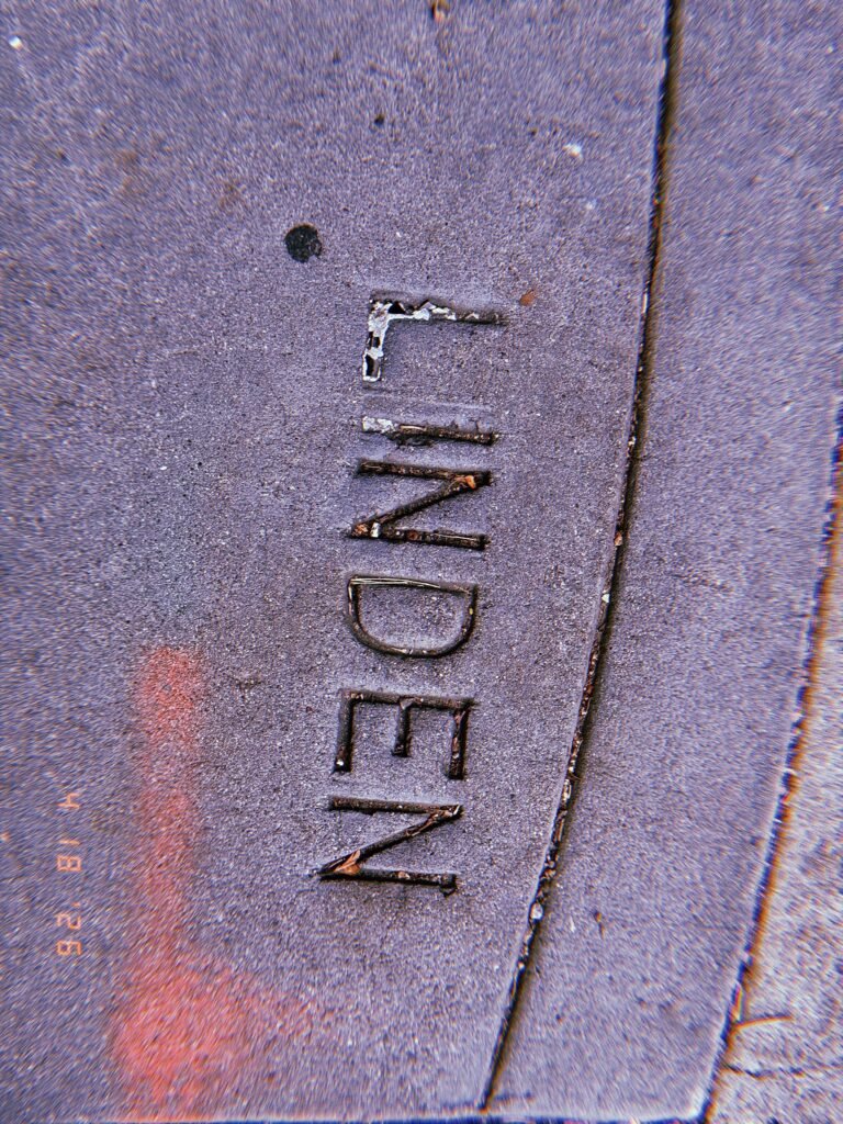 The word "LINDEN" embedded in a curved concrete sidewalk section at a street corner.