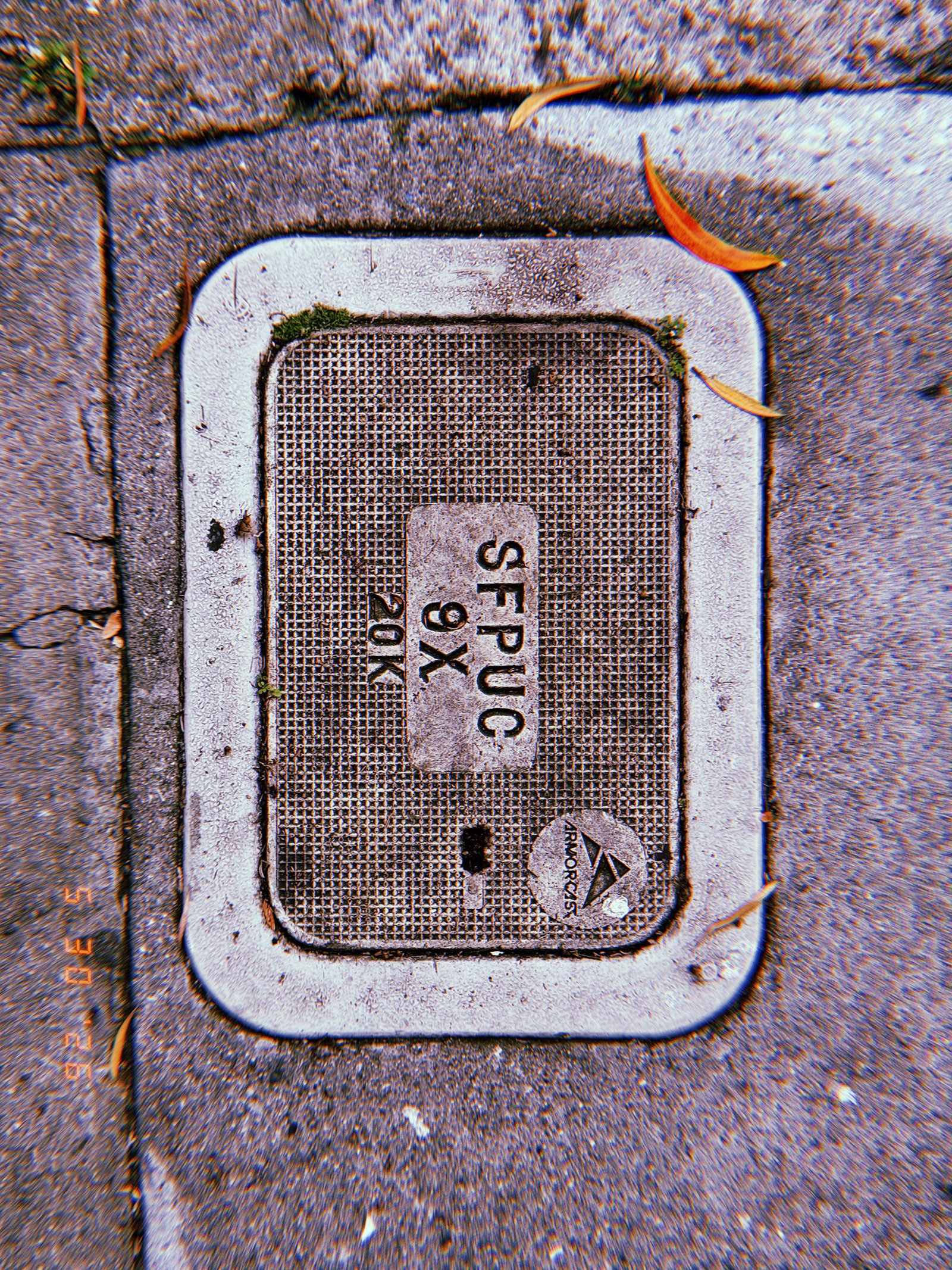 A rectangular communications access cover embedded in a concrete sidewalk. The textured utility panel is surrounded by paving joints, moss, and fallen leaves, providing access to underground network infrastructure.