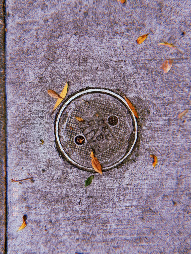 Round gas utility cover embedded in a textured San Francisco sidewalk, surrounded by scattered fallen leaves and traces of wear.
