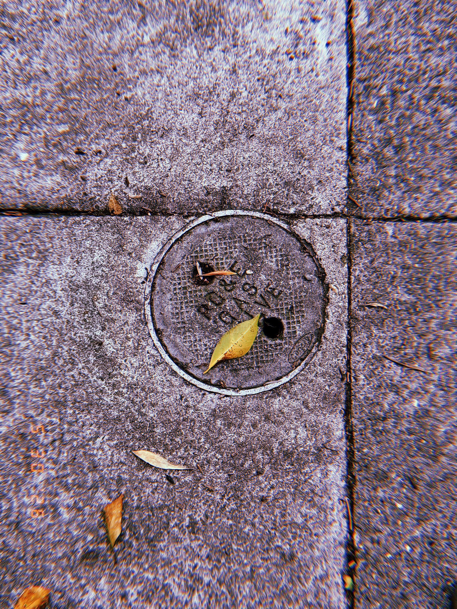 Round metal gas utility valve cover embedded in a textured San Francisco sidewalk, with fallen leaves resting across its worn surface.