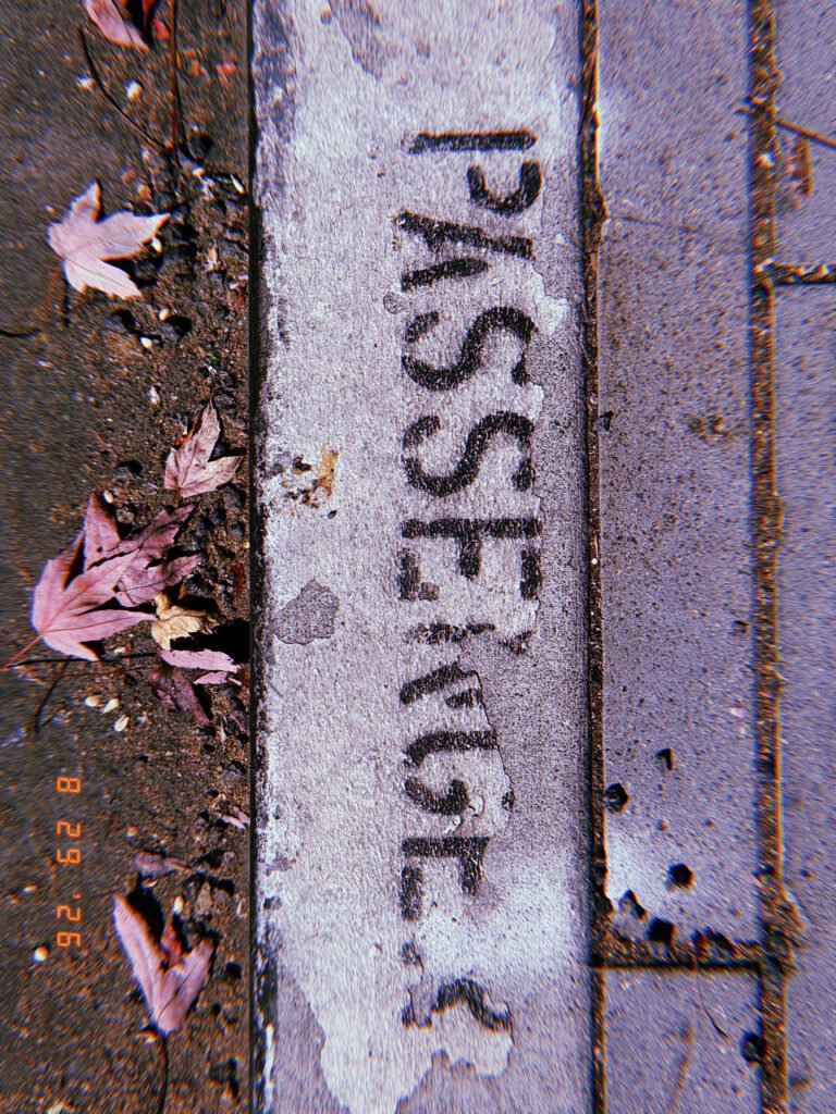 Black “PASSENGER” lettering painted on a worn white curb beside a San Francisco sidewalk.