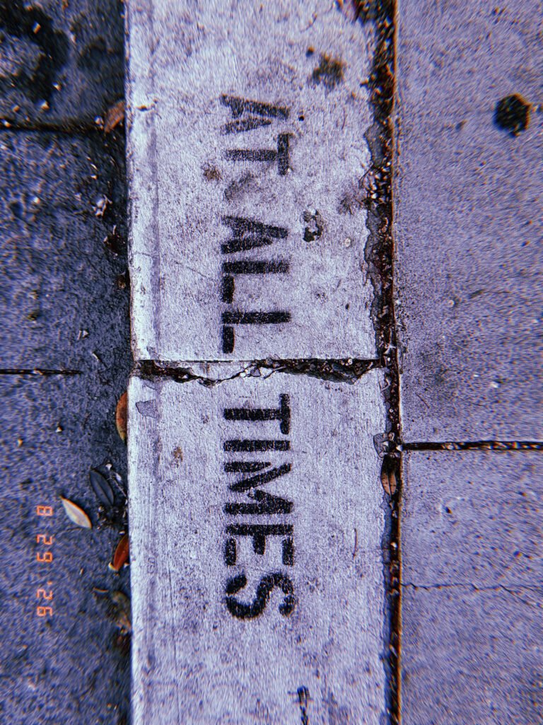 Black “ALL TIMES” lettering painted across a worn white curb beside a San Francisco sidewalk.