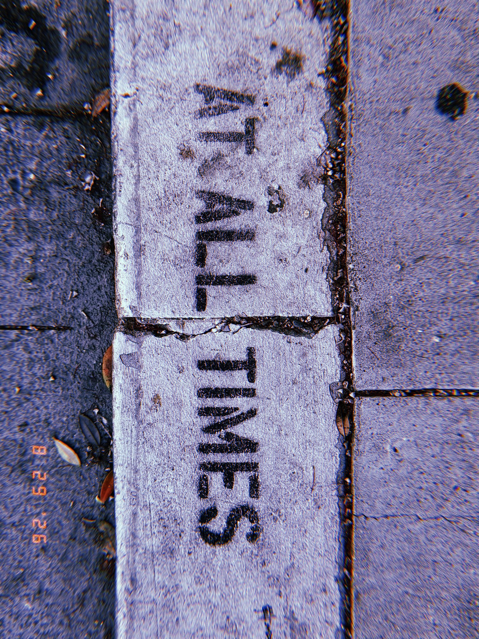 Black “ALL TIMES” lettering painted across a worn white curb beside a San Francisco sidewalk.