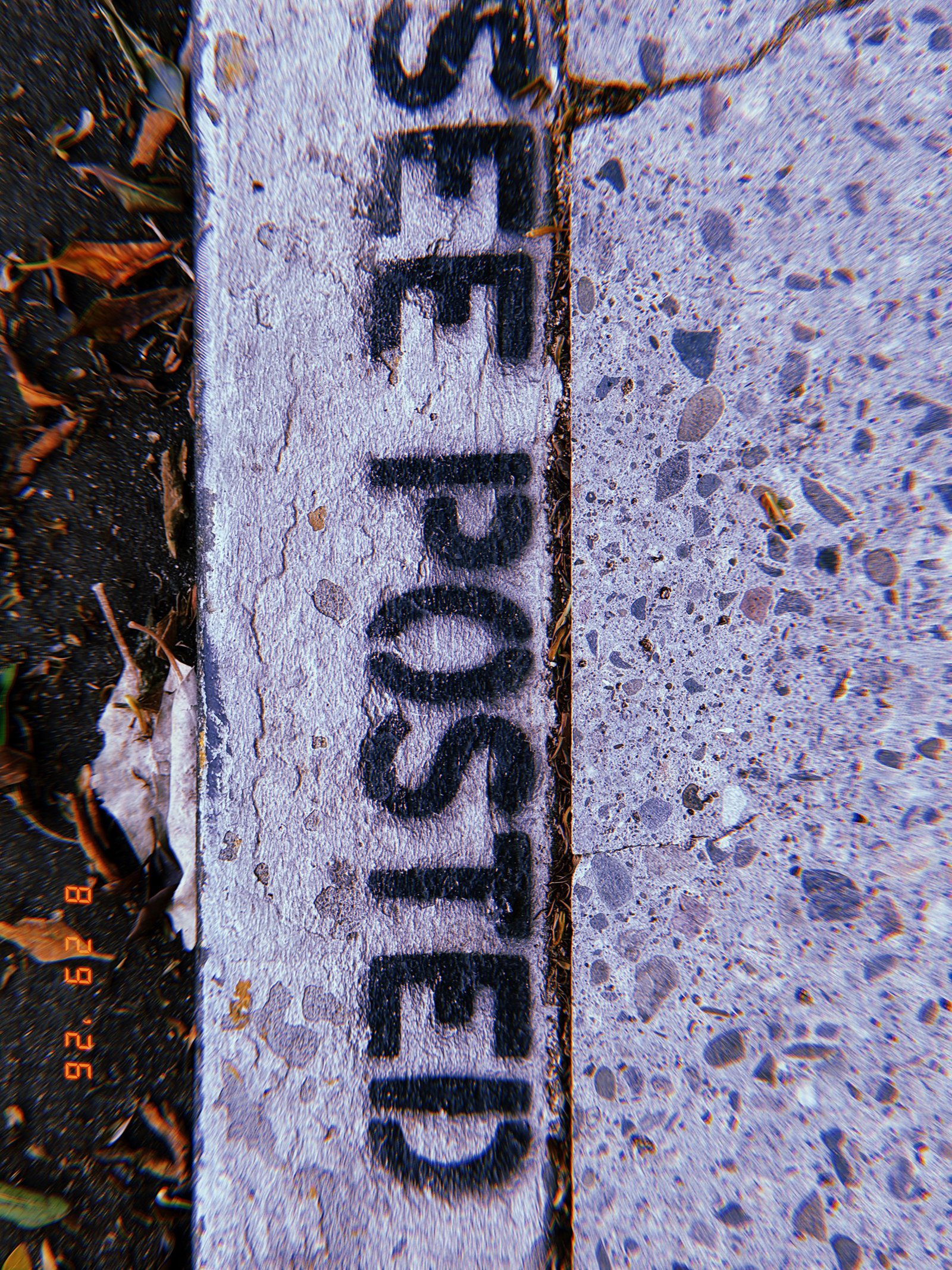 Black “NO POSTED” marking painted on a white curb beside a San Francisco sidewalk.