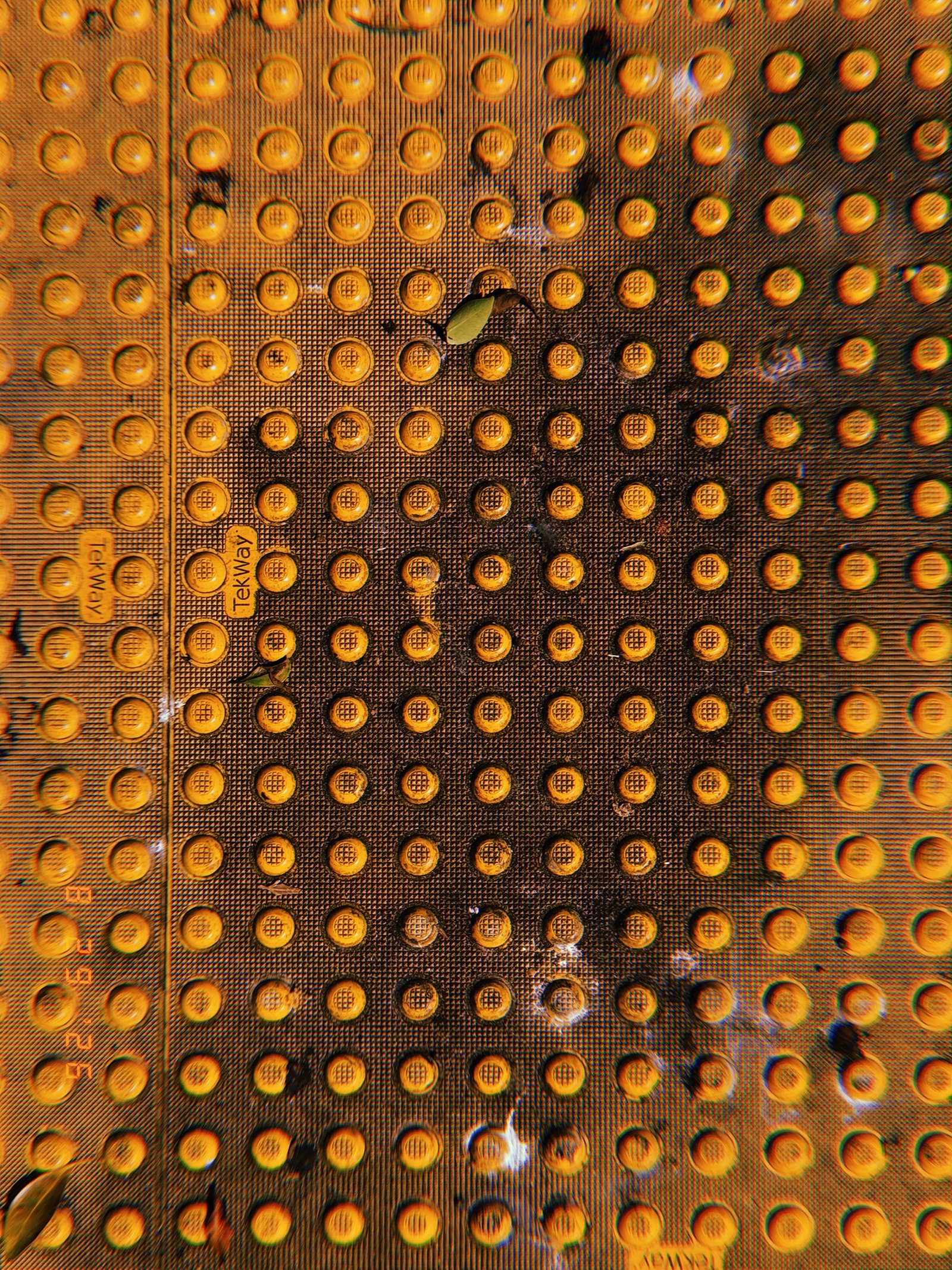 Worn orange tactile paving with a grid of raised truncated domes, dark surface marks, and scattered leaves.