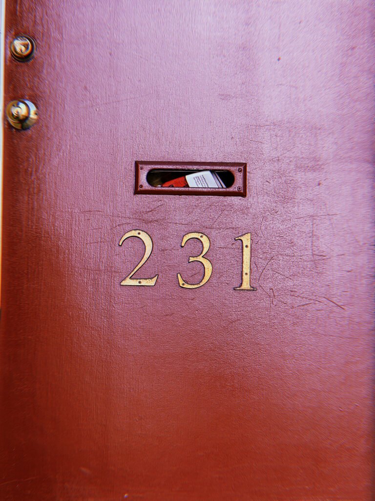 Gold metal address numbers 231 mounted on a reddish-brown wooden door beneath a narrow horizontal mail slot containing letters.